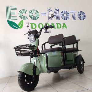 Triciclo eléctrico Family Plus