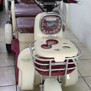 Triciclo electrico ECO PLUS