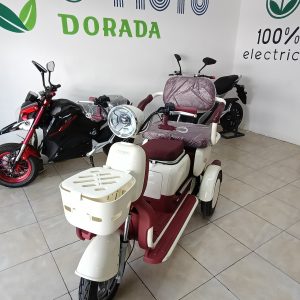 Triciclo electrico ECO
