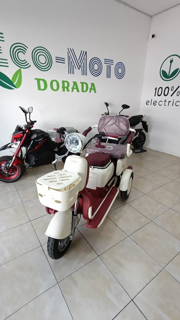 Triciclo electrico ECO