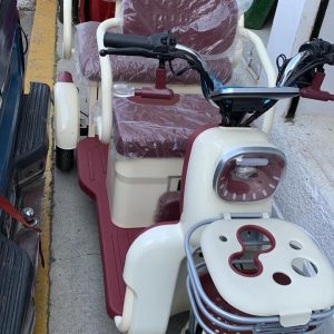 Triciclo electrico ECO PLUS