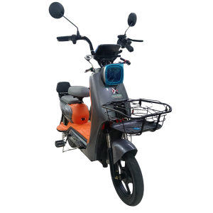 Bicicleta eléctrica KL 800